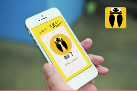 知了電商手機軟件開發(fā)案例
