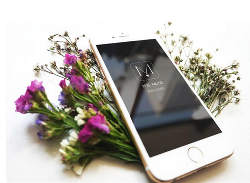 東方智啟科技APP開發(fā)-鮮花配送app開發(fā) 送花在彈指之間