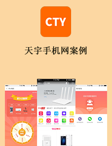 天宇手機(jī)網(wǎng)案例