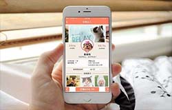 東方智啟科技APP開發(fā)-深度解讀寵物電商APP是否有市場(chǎng)