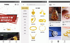 東方智啟科技APP開發(fā)-對(duì)萬特珠寶APP測(cè)評(píng)可以看到什么
