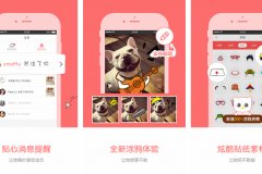 東方智啟科技APP開(kāi)發(fā)-寵物秀app點(diǎn)評(píng) 寵物秀app好不好