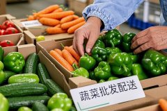 東方智啟科技APP開(kāi)發(fā)-蔬菜批發(fā)配送App開(kāi)發(fā)：功能規(guī)劃詳解與行業(yè)解決方案